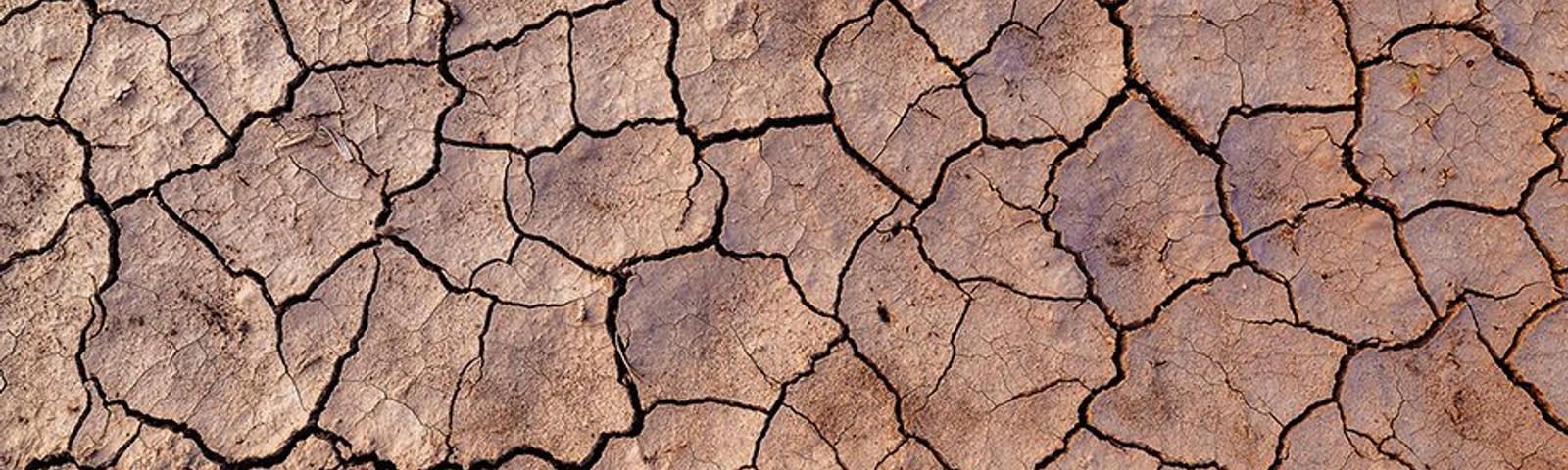 Expansive soils with grass