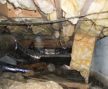 wet insulation in crawl space