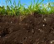 A cross-section of expansive soils showcases grass thriving on top under the vast, blue sky.