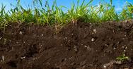 A cross-section of expansive soils showcases grass thriving on top under the vast, blue sky.