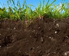 A cross-section of expansive soils showcases grass thriving on top under the vast, blue sky.