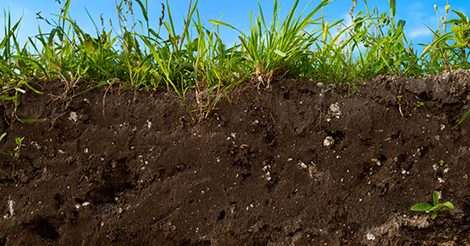 A cross-section of expansive soils showcases grass thriving on top under the vast, blue sky.