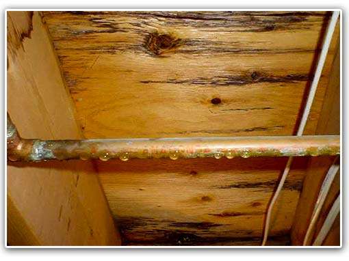 Copper pipe with condensation droplets against a wooden background, subtly hinting at indoor humidity levels.