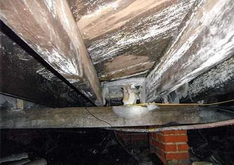 <p>Protects Structural Stability</p>
