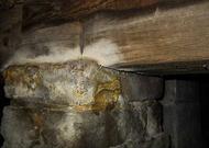 Close-up of stone and wood foundation with visible mold growth on surfaces, highlighting moisture problems in a crawl space.