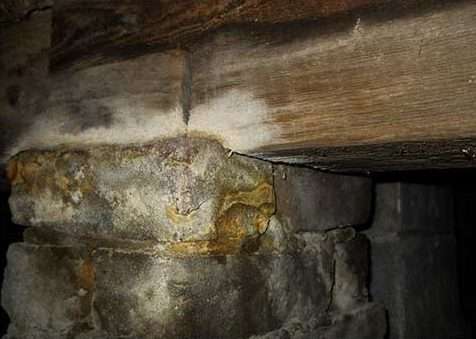 Close-up of stone and wood foundation with visible mold growth on surfaces, highlighting moisture problems in a crawl space.
