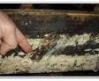Crawl space mold means you're breathing in mold spores in the living areas of your home due to the stack effect.