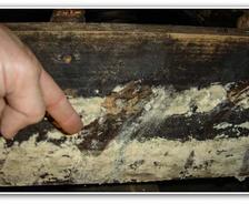 Crawl space mold means you're breathing in mold spores in the living areas of your home due to the stack effect.