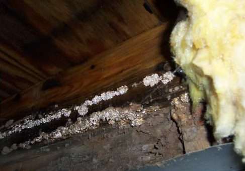 Protect your home and moisture proof your crawl space with CrawlSeal Encapsulation System