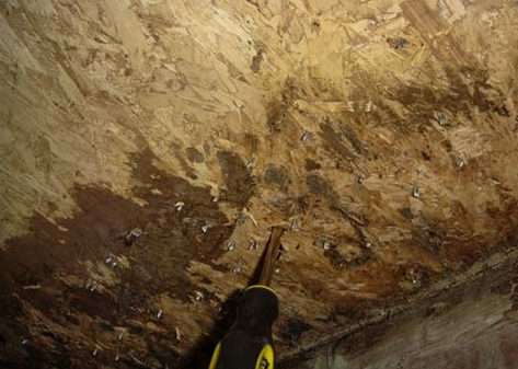 Wood Rot due to Moisture and humidity cause major damage to a crawl space and your home