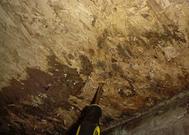 Wood Rot due to Moisture and humidity cause major damage to a crawl space and your home