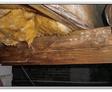 Floor joist repair