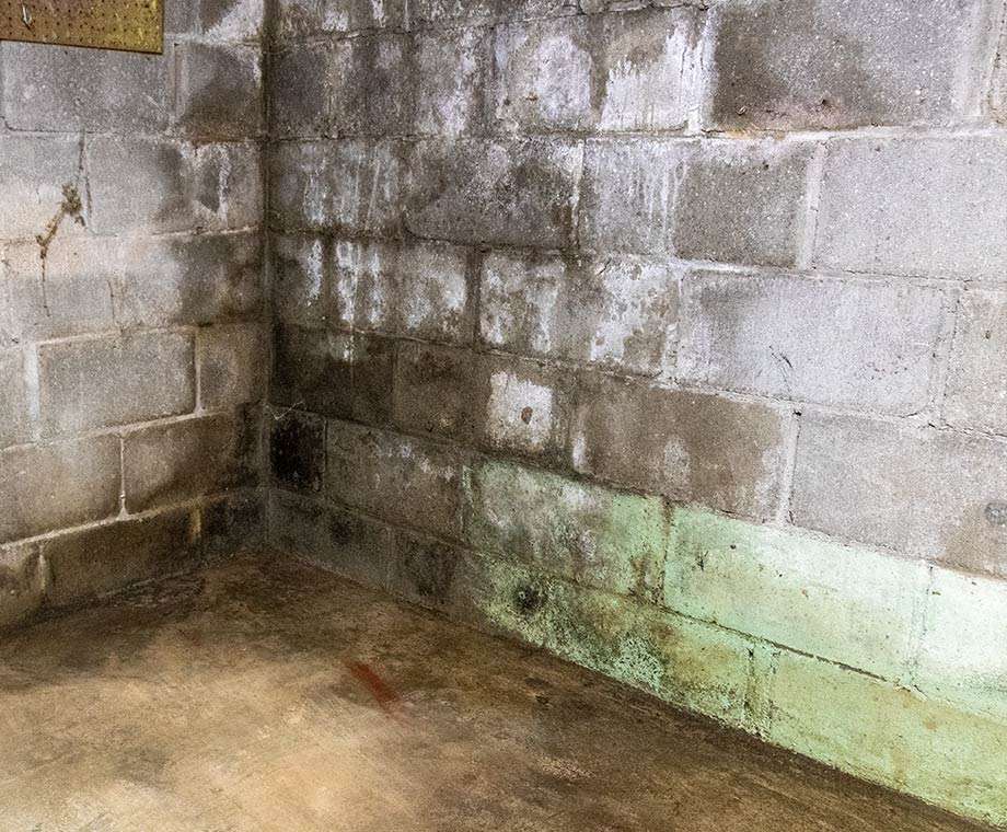 Concrete basement walls with visible water damage, stains, efflorescence, and mold growth along the bottom edge.