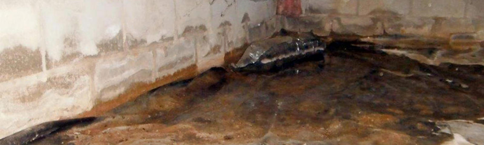 standing water in crawl space