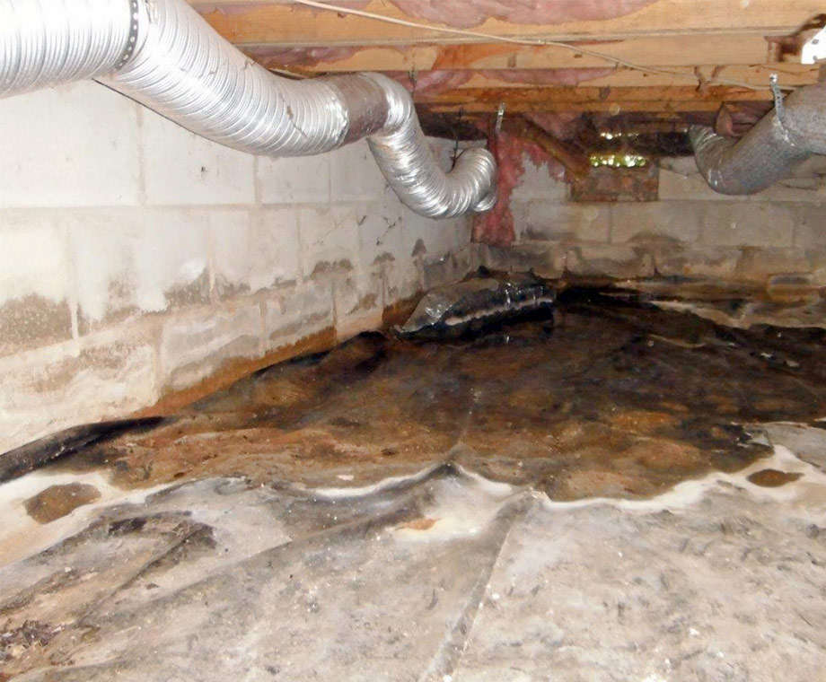 standing water in crawl space