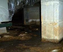 Flooded basement with puddles and dirt on the floor, surrounded by concrete support beams, often indicates subtle crawl space problems lurking beneath the surface.