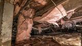 moldy and wet insulation due to high crawl space humidity