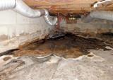 water and mold in a crawl space caused by open crawl space vents