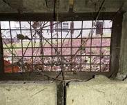 open crawl space vent