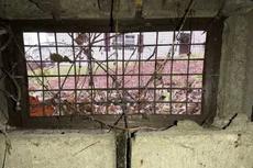 open crawl space vent