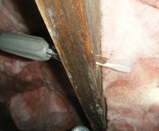 wood rot
