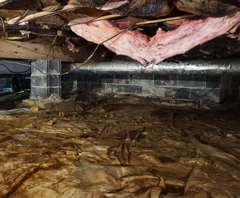 Damaged insulation