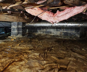 Damaged insulation