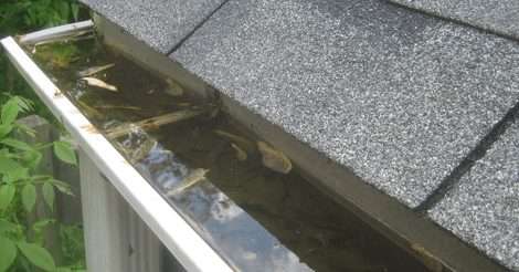 How to Fix Drainage Problems: CloggedGutter