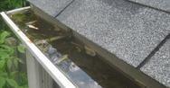 How to Fix Drainage Problems: CloggedGutter