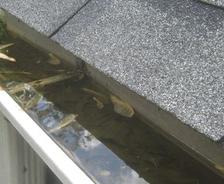 How to Fix Drainage Problems: CloggedGutter