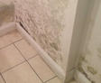 moisture and basement mold