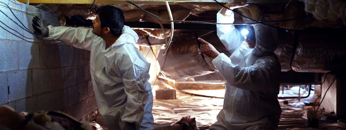 Two people in protective suits inspect a crawl space, using flashlights to examine the area.