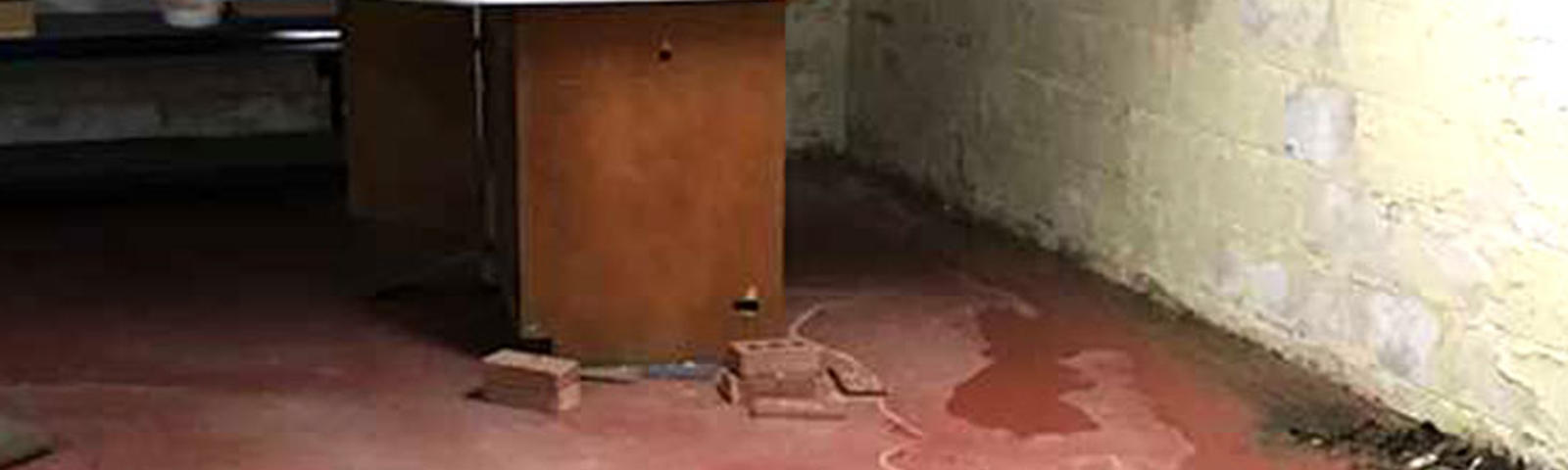 basement waterproofing cost
