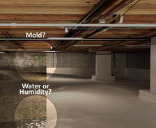clean crawl space