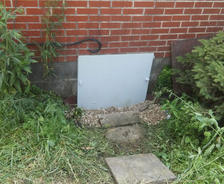 Avoid trees around crawl spaces