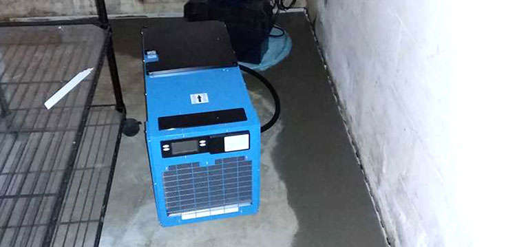 taking care of your dehumidifier