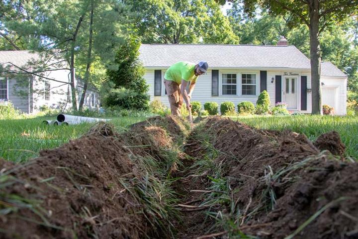 tree roots and foundation damage
