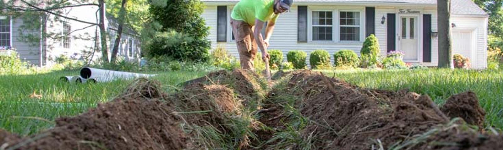 tree roots and foundation damage