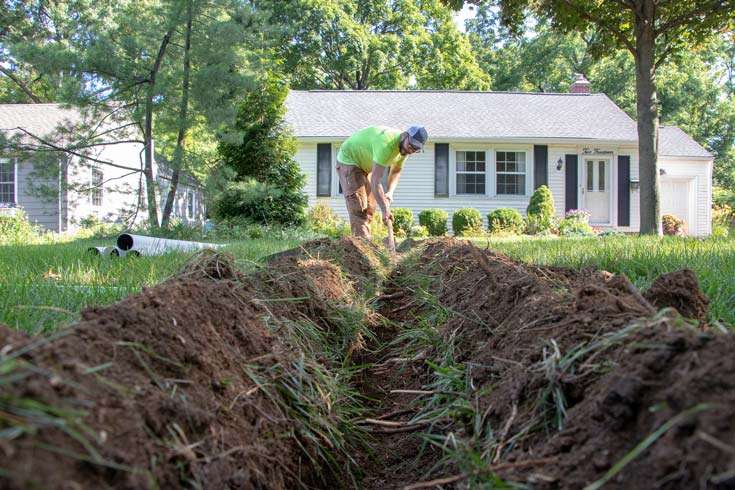 tree roots and foundation damage