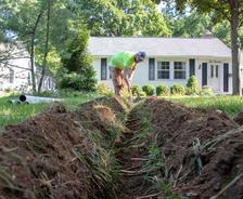 tree roots and foundation damage
