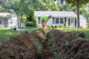 tree roots and foundation damage