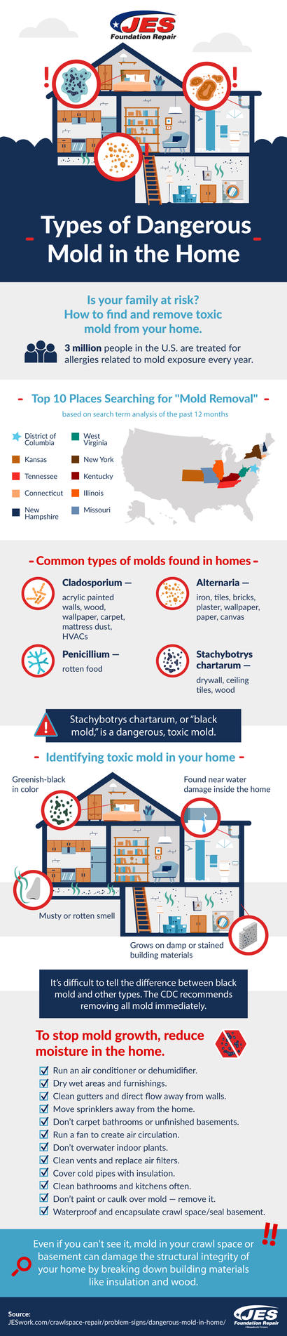 Dangerous Mold in the Home