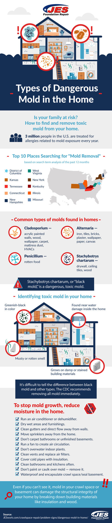 Dangerous Mold in the Home