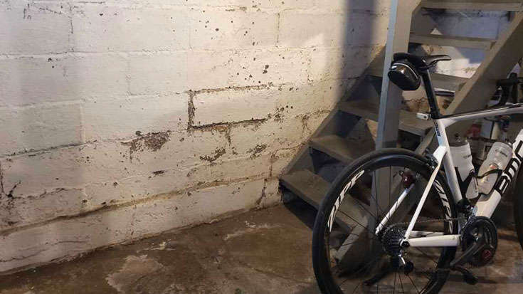 humid basement