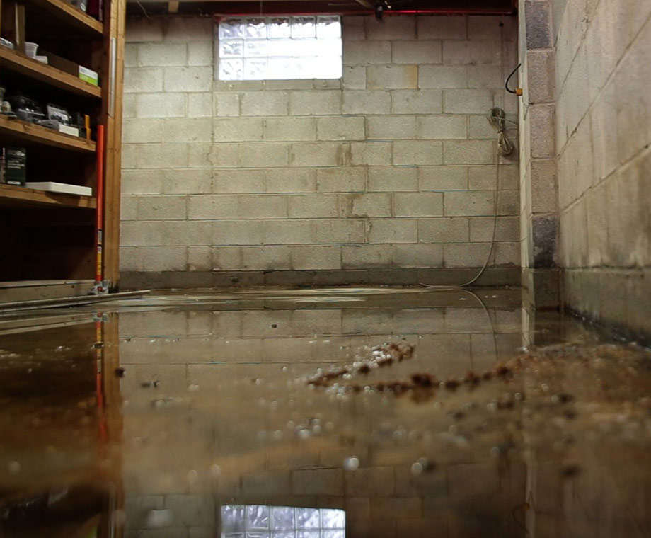 <p>Prevent Basement Flooding</p>
