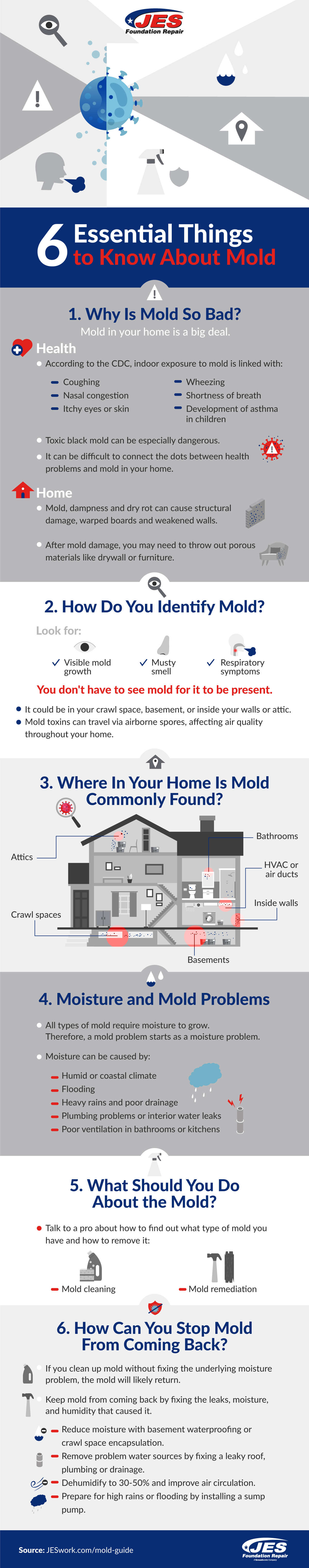 6 Essential Things to Know about Mold infographic