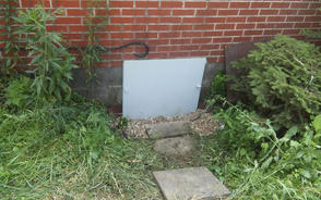 crawl space exterior and roots