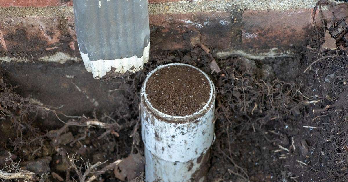 clean drains and gutters