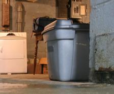 laundry area in basement