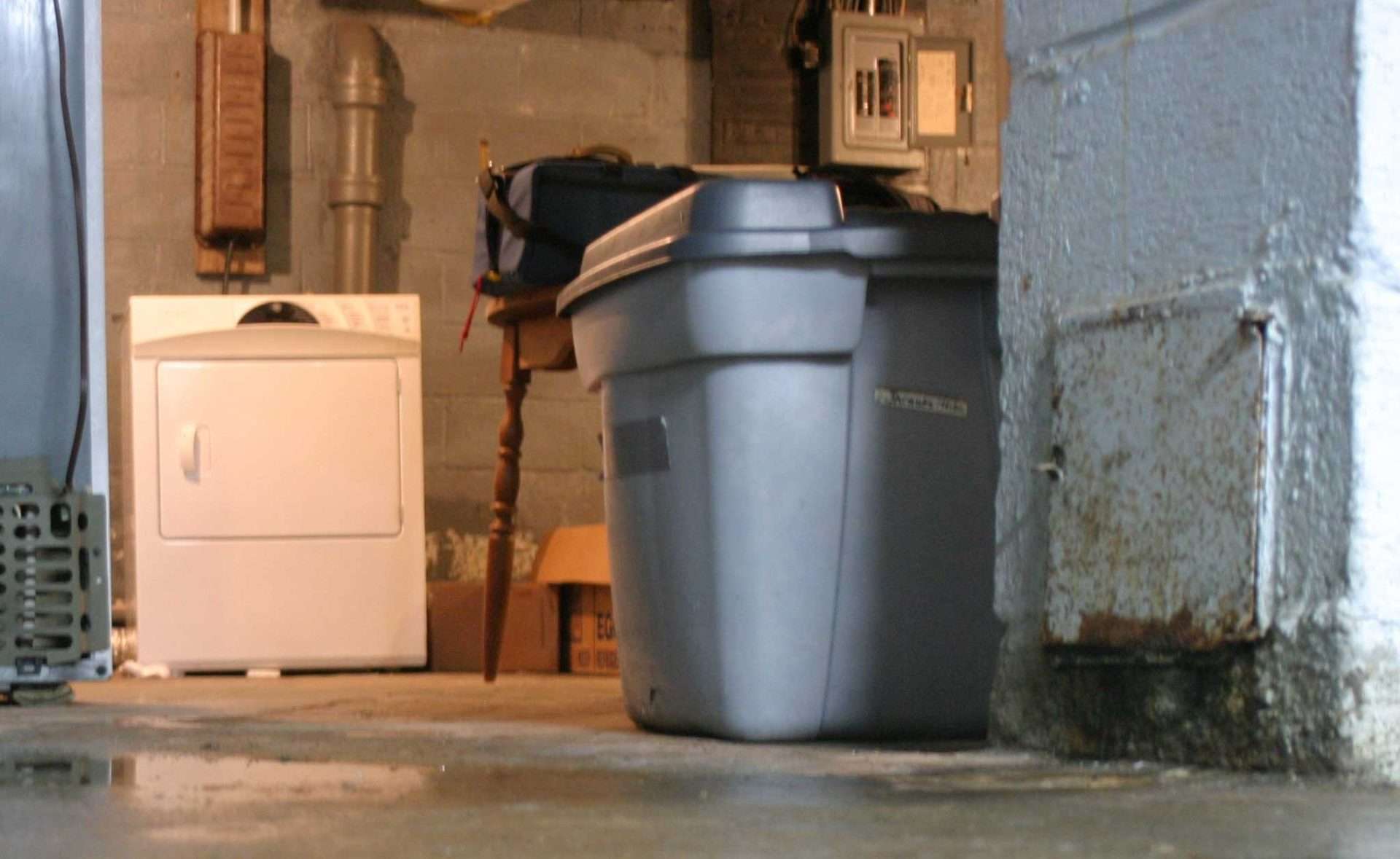 laundry area in basement